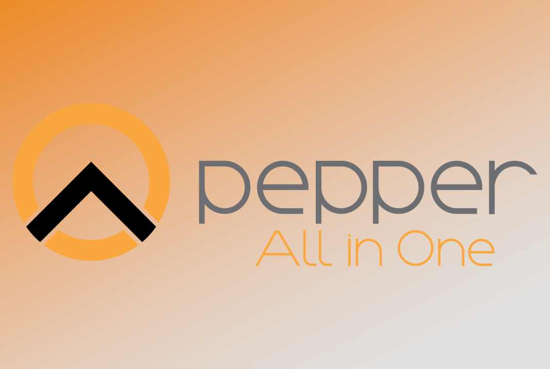Pepper All in One POS