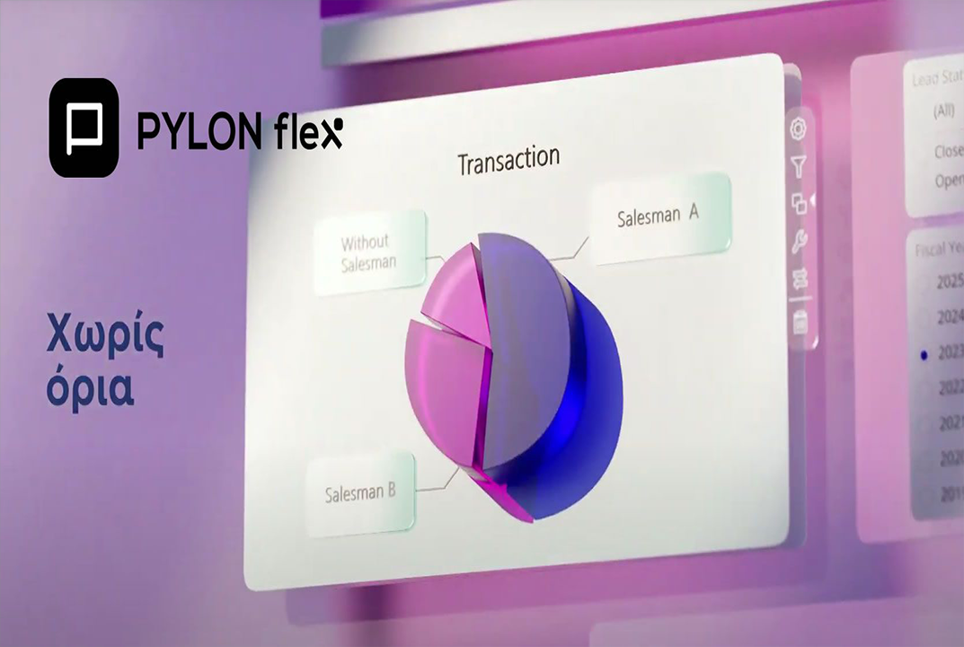 PYLON ERP/CRM